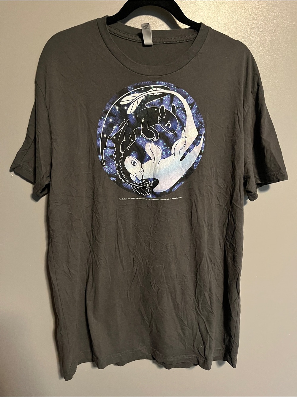 Unisex Black Graphic “How To Train Your Dragon” T-Shirt
